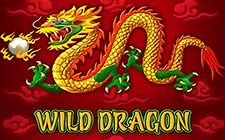 La slot machine Wild Dragon